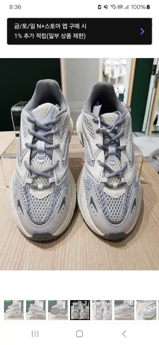 LACOSTE ラコステ 40 45 行く あなたはそれを着なければなりません ハム