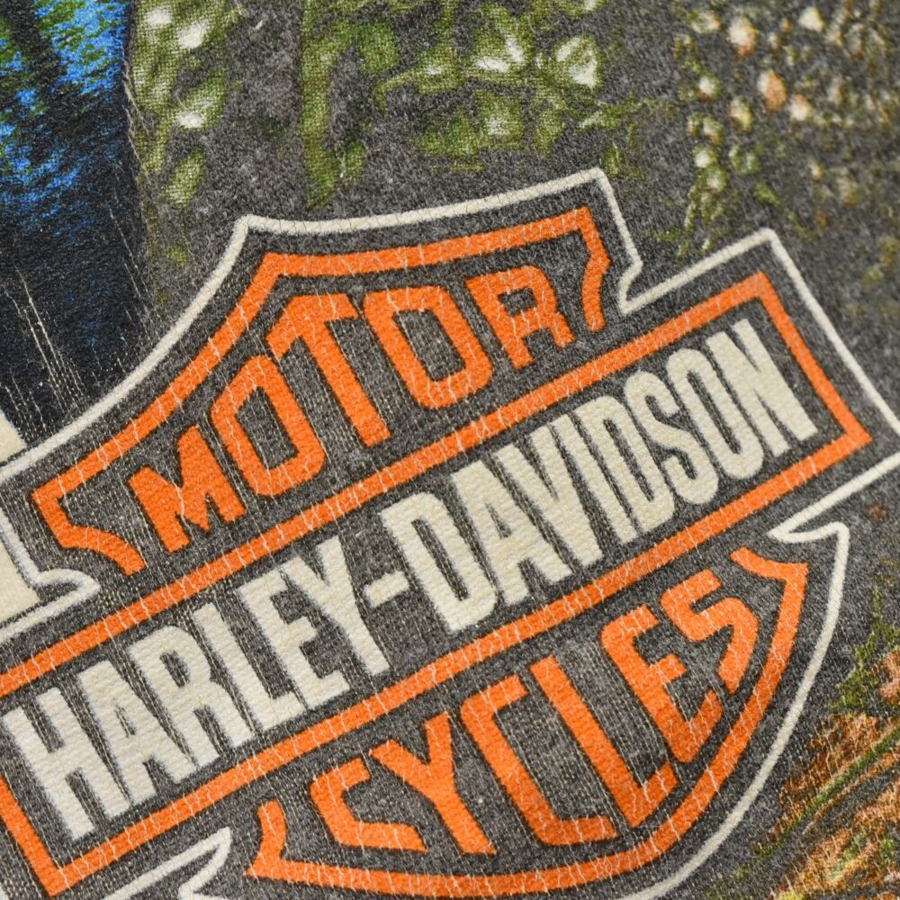 VINTAGE (ヴィンテージ) Harley-Davidson Gator Logo ハーレーダビッドソン 2018年製 ロゴプリント半袖Tシャツ  カットソー ホワイト