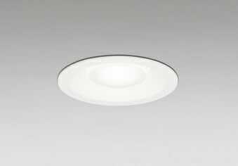 【新品・3営業日で発送】ODELIC オーデリック ランプ別梱包 OD361550R