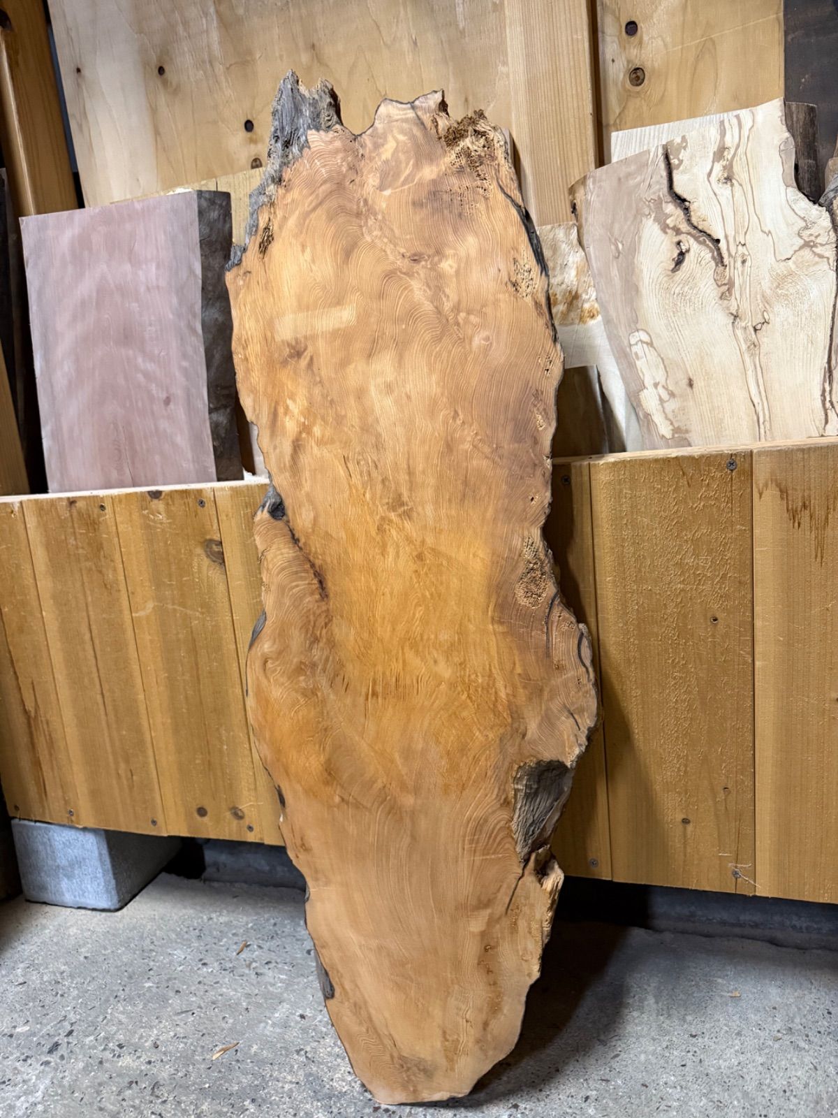 激 良形良杢 屋久杉 板 一枚板 無垢材 銘木 ローテーブル レジン 木工 DIY 素材