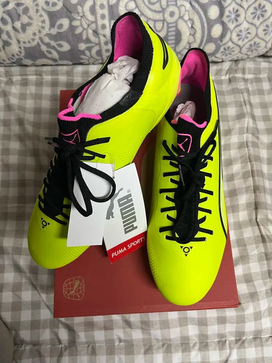 激レア】国鉄 583系 方向幕 ブルートレイン 行先幕 雷鳥 きたぐに 激