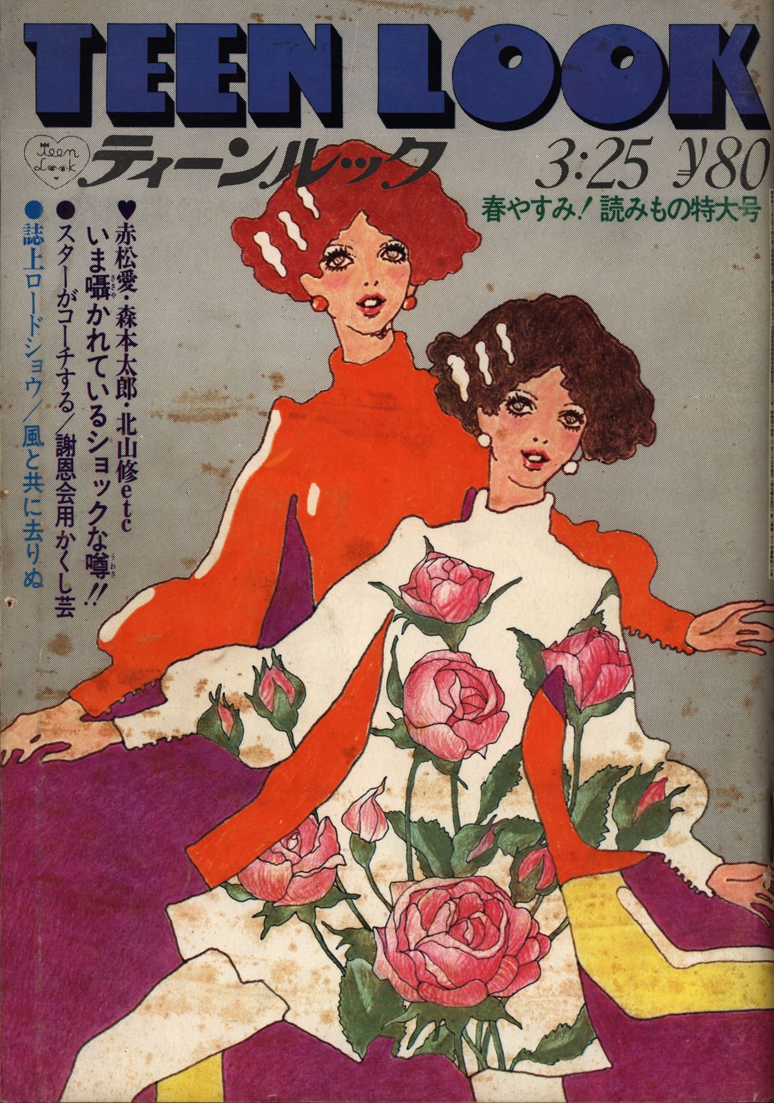 ティーンルック 1969年3月25日号 ティーンルック(TEEN Teen 1969年 雑誌
