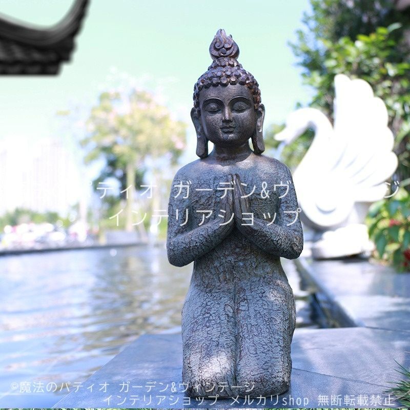 現品］【希少】23番 ♡おすすめ♡ ポトス ステータス 7号 フェンス