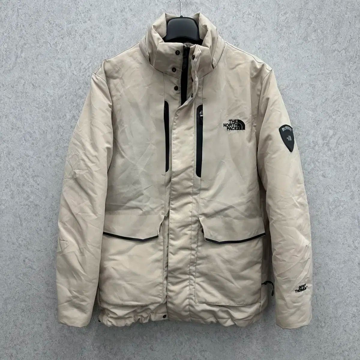100 THE NORTH FACE(ザノースフェイス) メンズ グースダウン ダウンジャケット