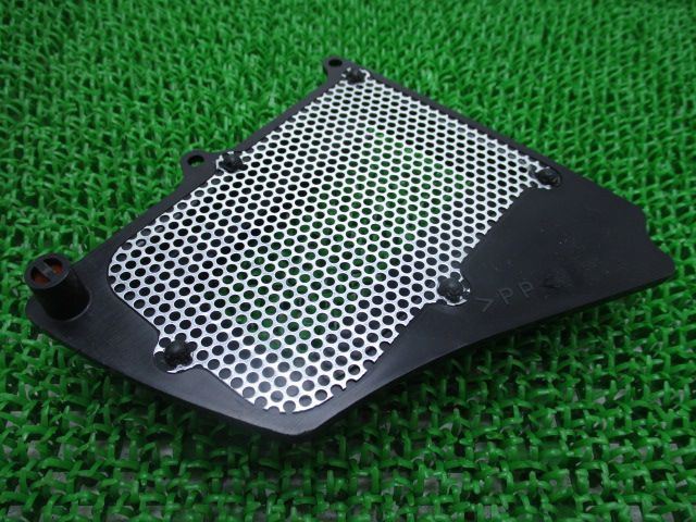 セロー250 エアクリーナーエレメントプレート 在庫有 即納 ヤマハ 純正 新品 バイク 部品 在庫有り 即納可 車検 Genuine トリッカー