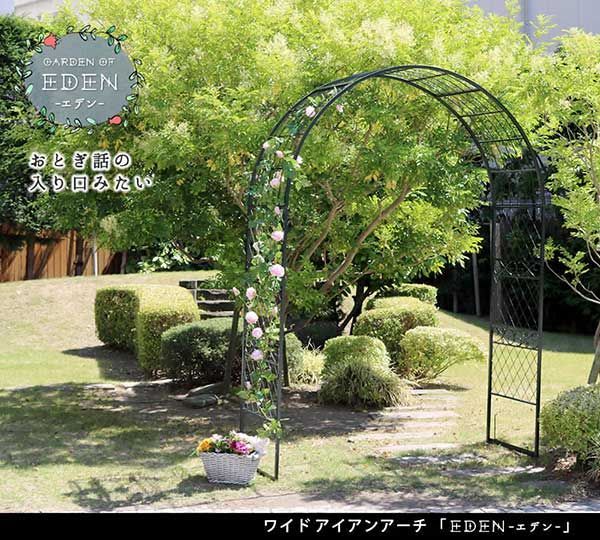 おしゃれ ダークグリーン