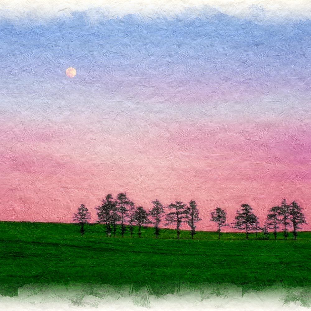 バンクシー ゲームチェンジャー リトグラフ COA認定書付き (Banksy