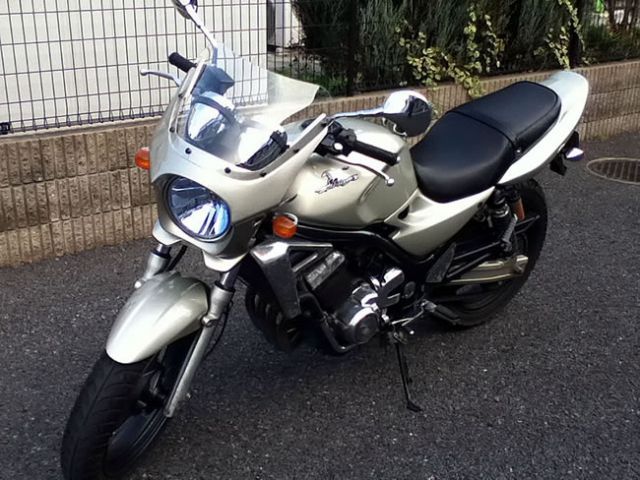 種類12:スモーク/メタリックシャンパーニュゴールド バリオス2