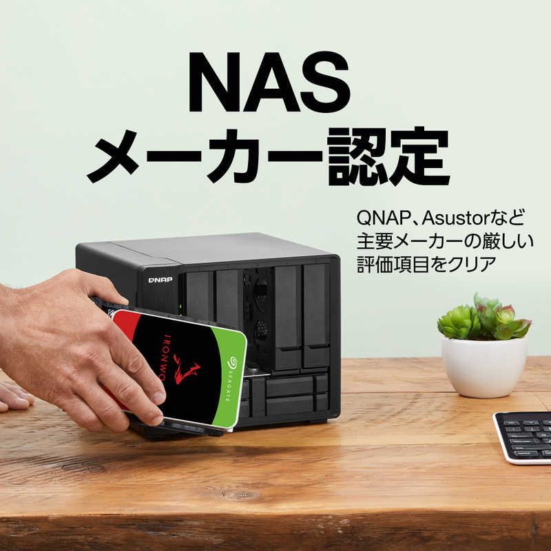 ｢バルク品｣ ST6000NT001