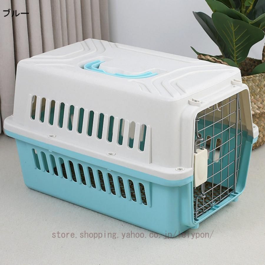猫 ハード