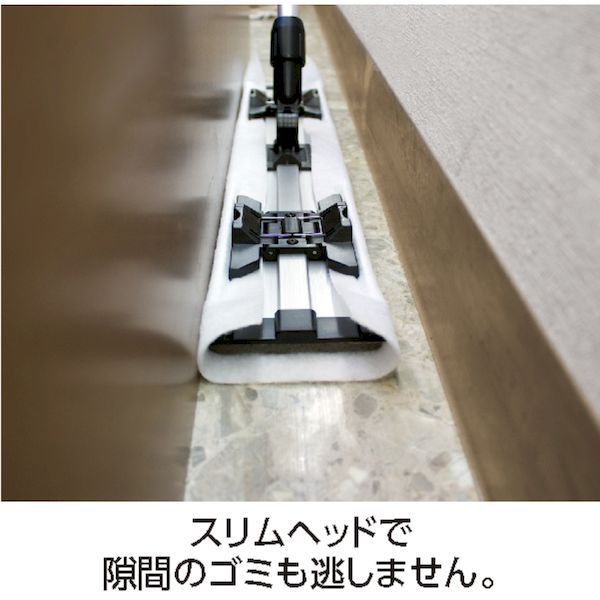 1個 テラモト