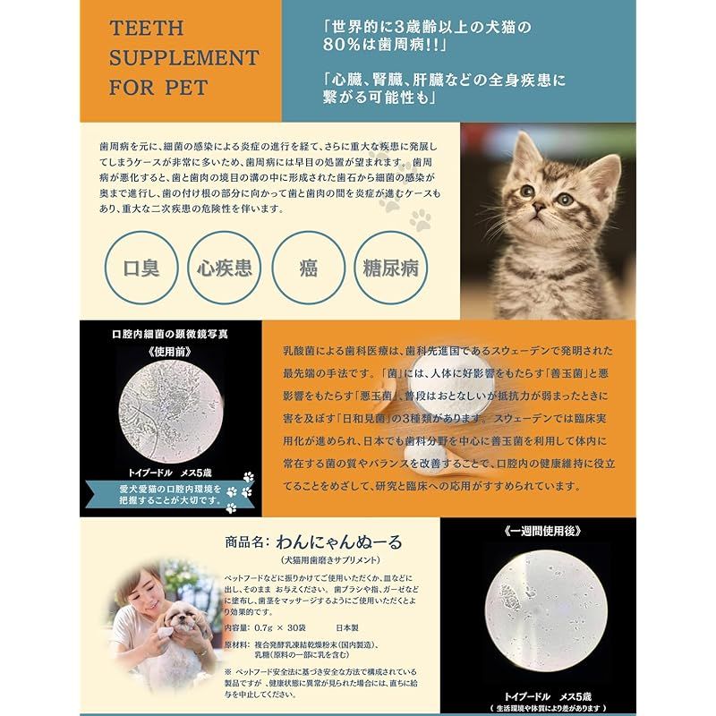 びぃ様　ご確認用 デイトナ(Daytona) アルミビレット バイク用 バーエンド カワサキ M8