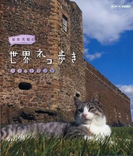 (未使用･未開封品)　岩合光昭の世界ネコ歩き　アンダルシア　ブルーレイ v1yptgt 岩合光昭の世界ネコ歩き 第1弾 ブルーレイ 全3枚セット