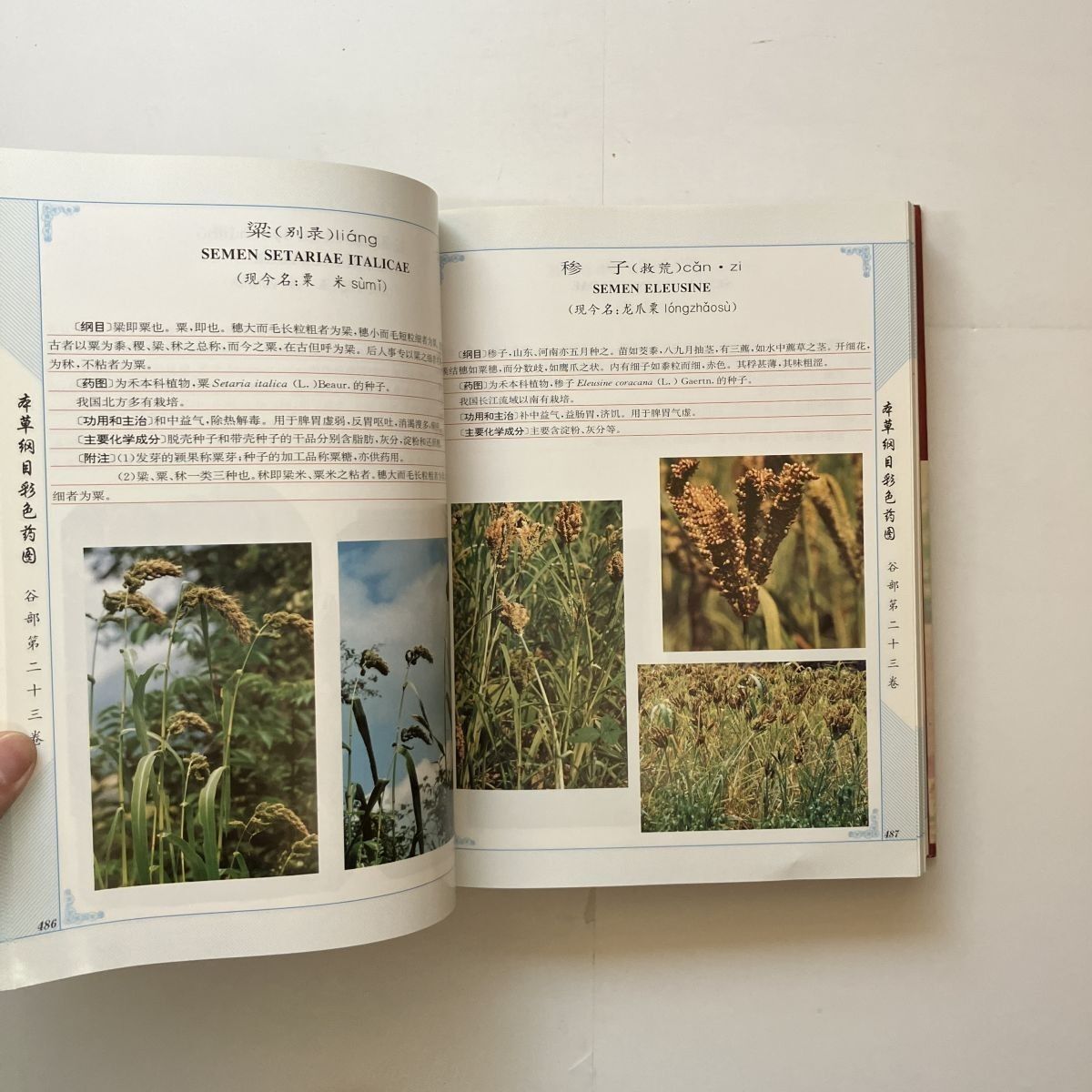 本草綱目彩色薬図 貴州科技出版社 1998年 主編 邱徳文/家/夏同 1228p 