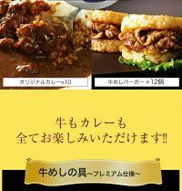 ギュウギュウカレーセット32個