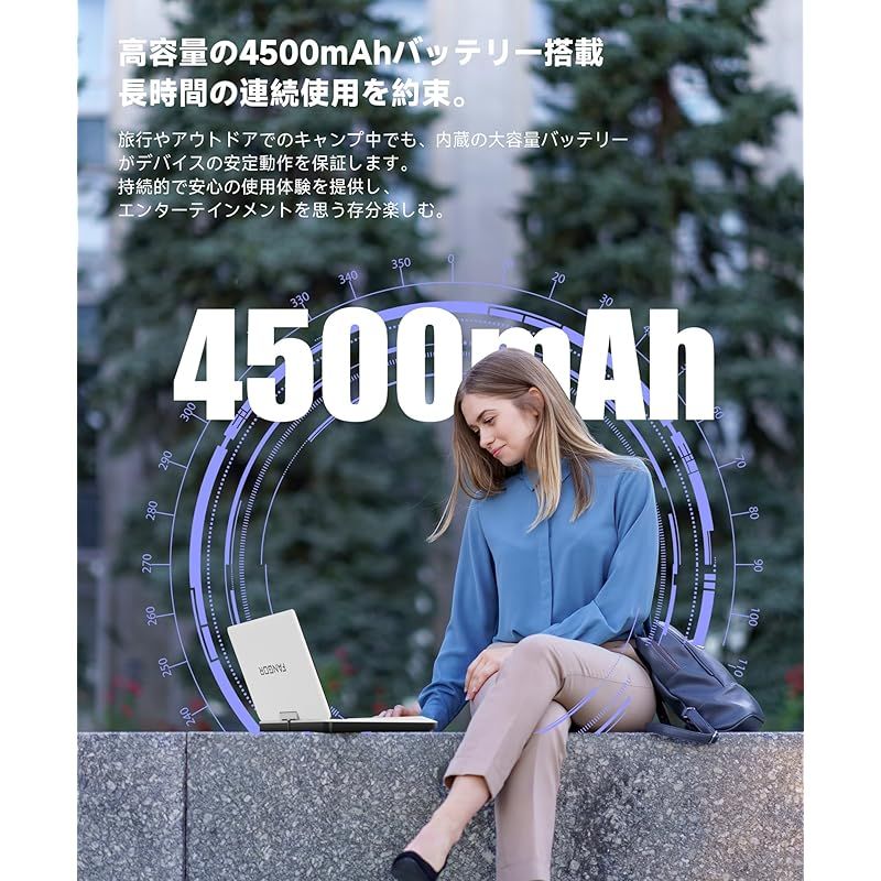 日本語説明書付き