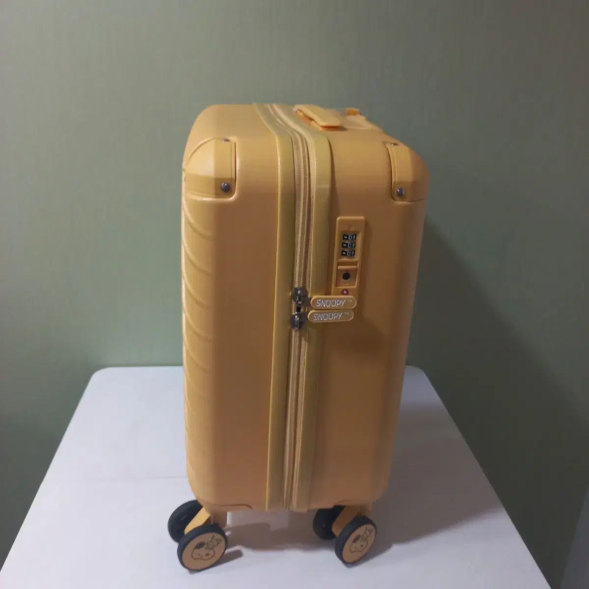 18 インチキャリア