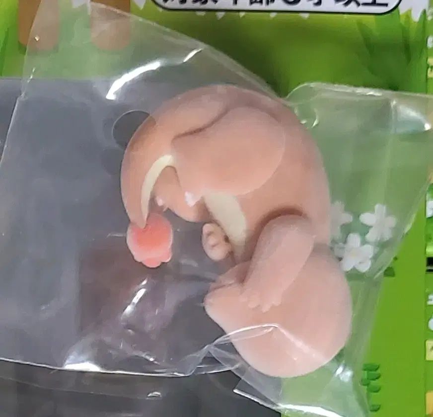 ポケモン スリップ フィギュア 2種 カラカラ ヒトカゲ