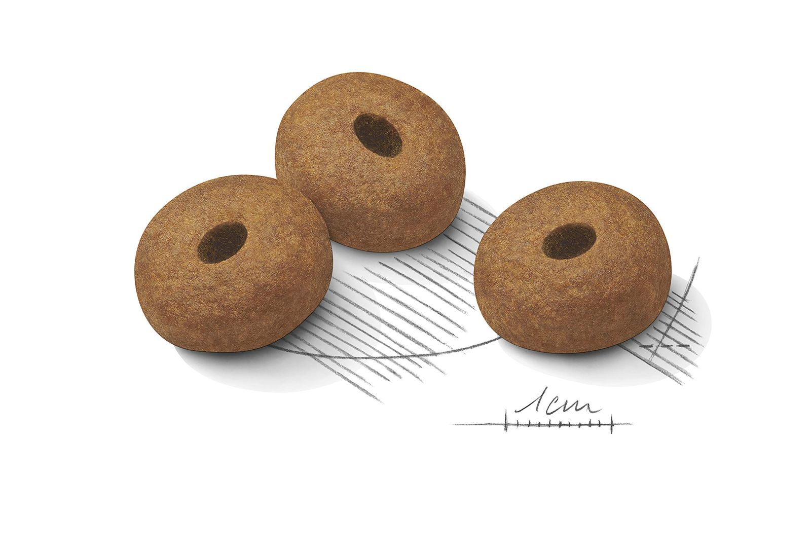  CANIN 大型犬用 ドライフード 16kg 楽天市場】ロイヤルカナン マキシ アダルト（ドッグフード