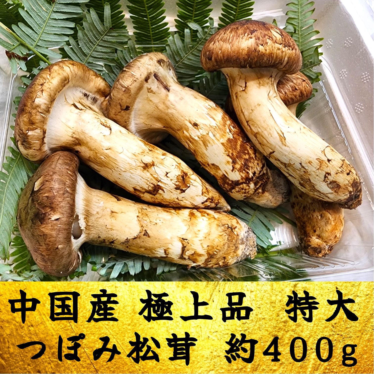 中国産 秀逸品質【天然 つぼみ 中腕 松茸 400~450g】3L~2L 3～7