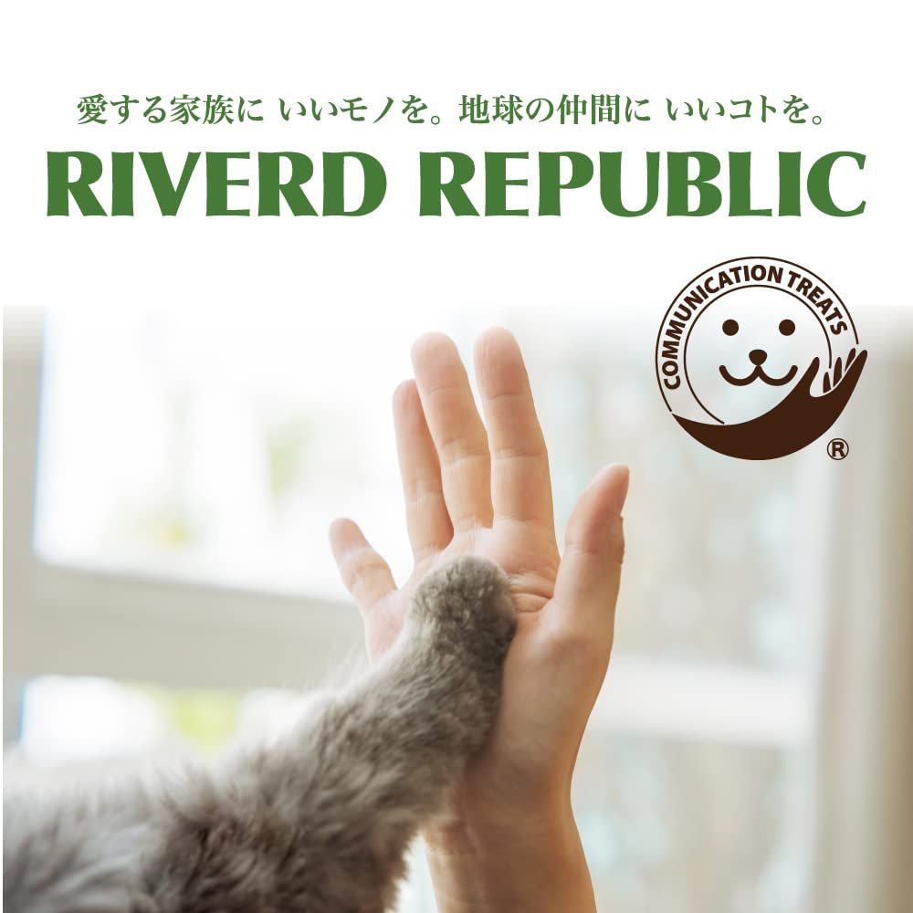 20個