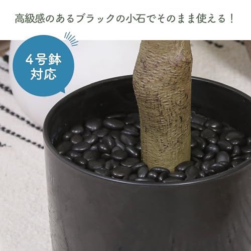 中型