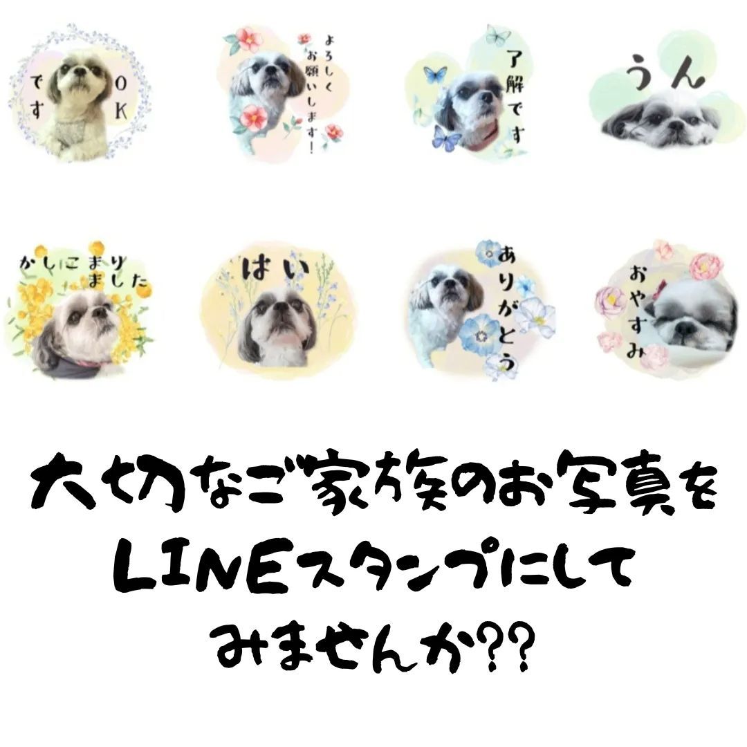 🖤akiko様 専用ページ🖤♪ペットLINEスタンプ♪今だけお試し価格