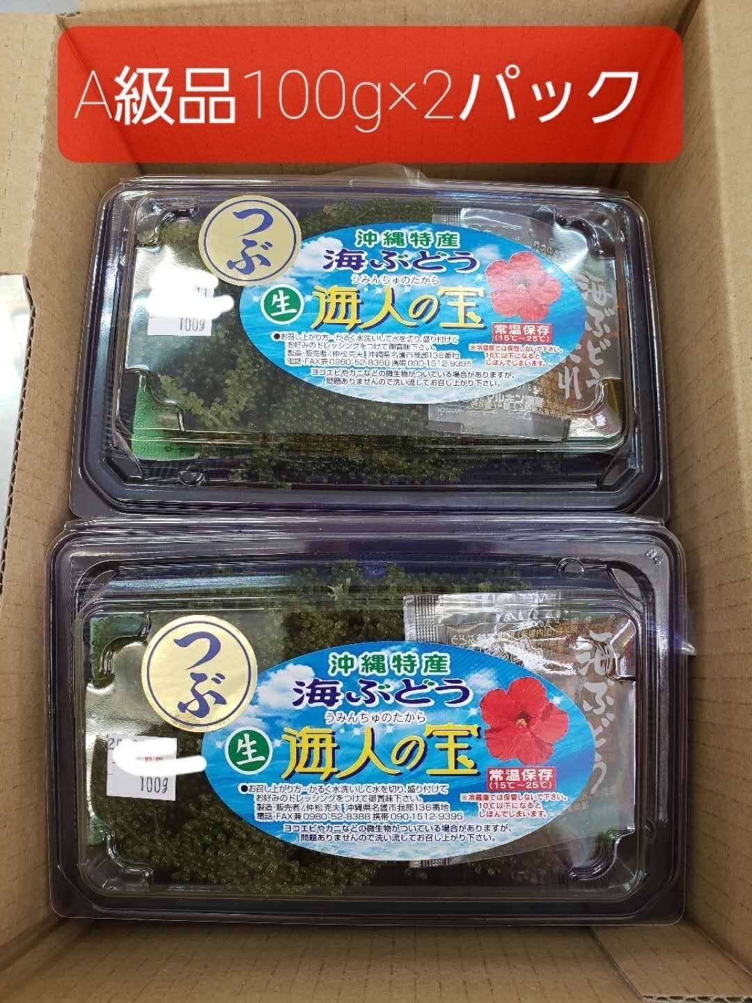 生海ぶどう 茎なしたっぷり1kg ☆タレ10p付き - 通販 - guianegro.com.br