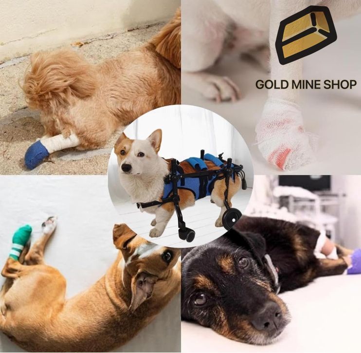 pockypockyページ■小型犬用4輪犬の車椅子　犬の歩行器+オプション pockypocky様専用ページ□小型犬用4輪犬の車椅子 犬の歩行器+