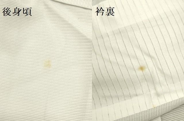 平和屋着物＊夏物 訪問着 絽 草花文 正絹 逸品 DAAU3237op