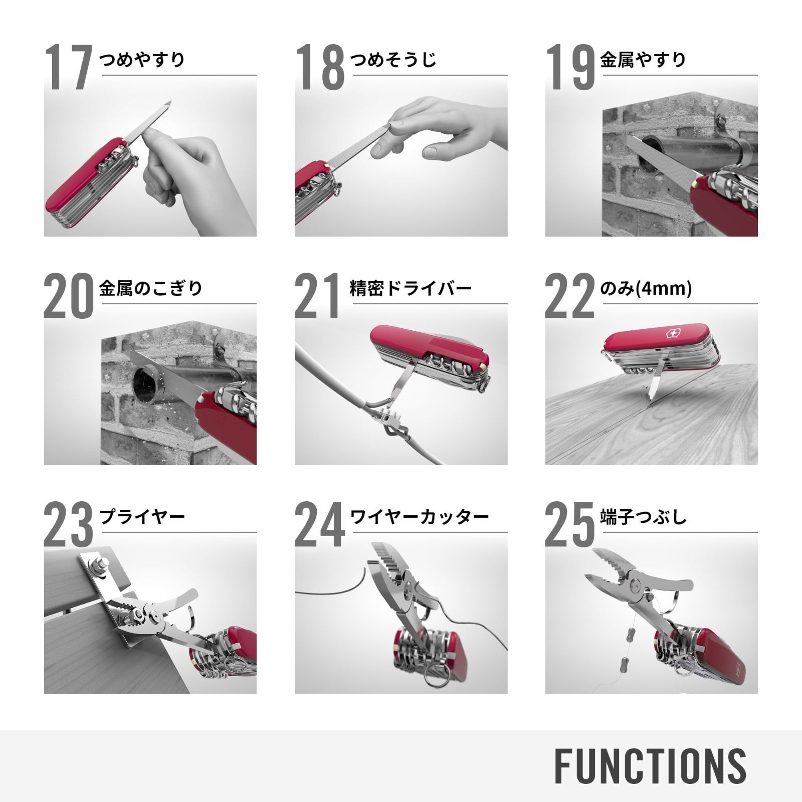 全6色 スイスチャンプシリーズ