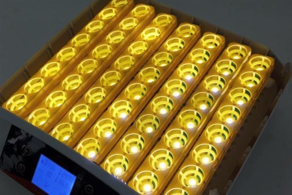 LED 鳥類専用孵卵器　ふ卵器　孵化器　ふ化器　インキュベーター 56個 LED 鳥類専用孵卵器 ふ卵器 孵化器 ふ化器 インキュベーター 56個