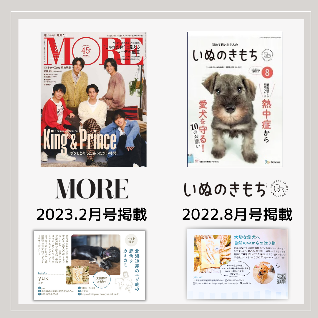 【数量限定】訳アリ　鹿角　北海道産エゾ鹿の角　犬のおもちゃ　鹿の骨　a