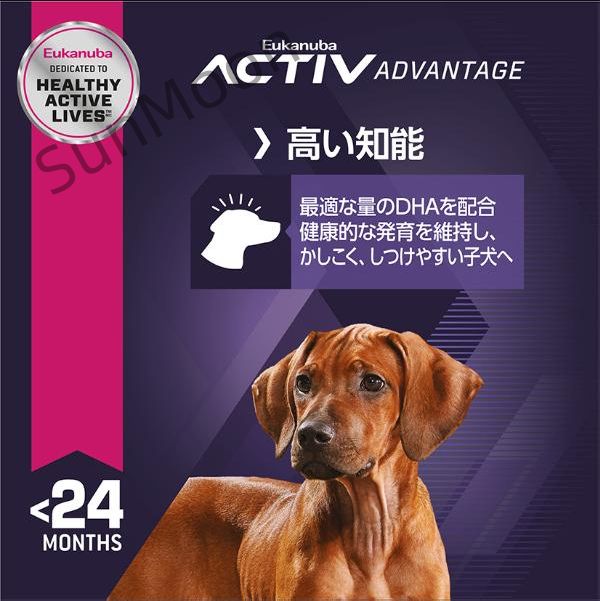 大型犬用