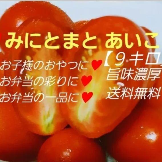 ミニトマト あいこ 9キロ - メルカリ