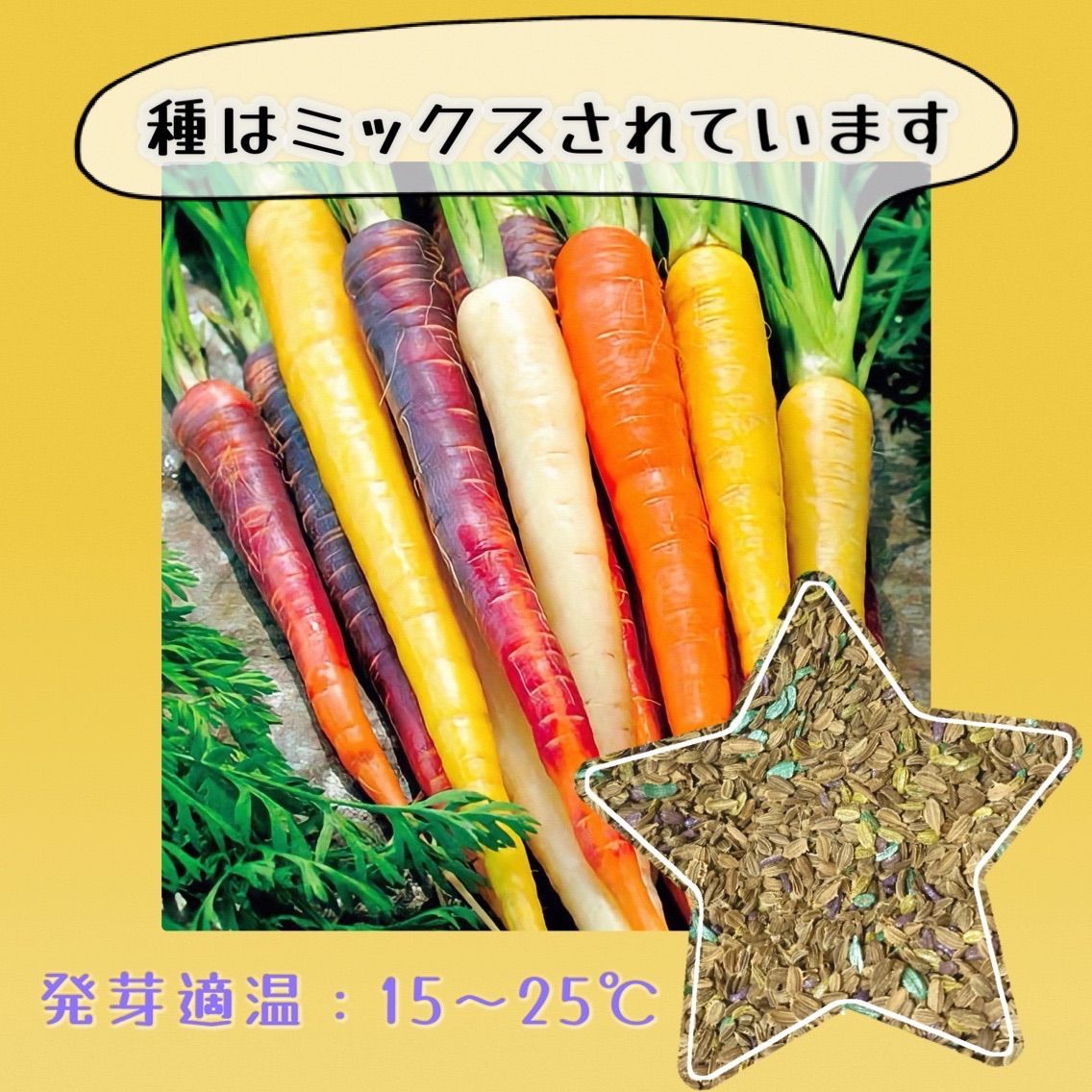 最新入荷 オレンジ 黄色 紫 3色MIXニンジンの種野菜種 30個 millenniumkosovo.org