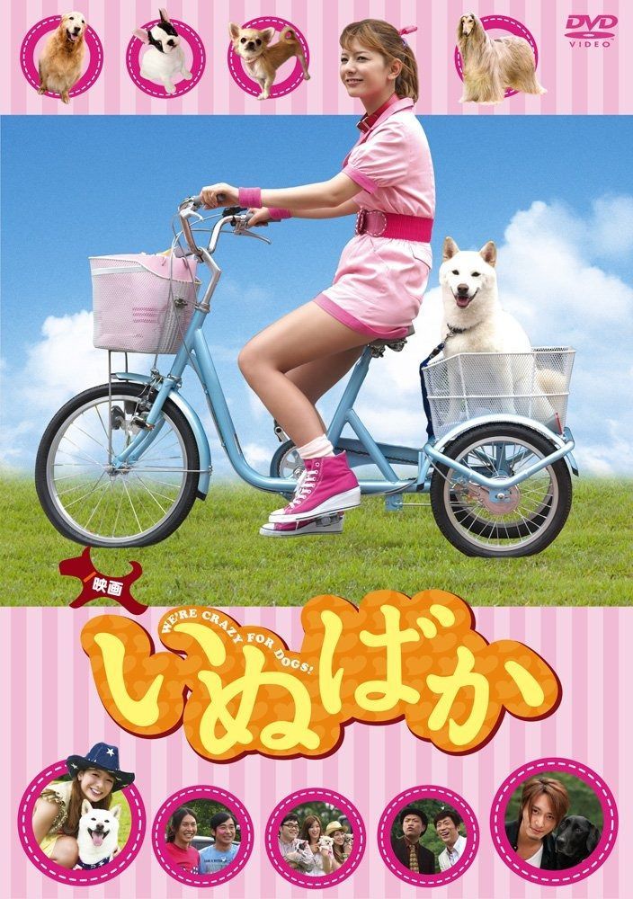 映画 いぬばか DVD