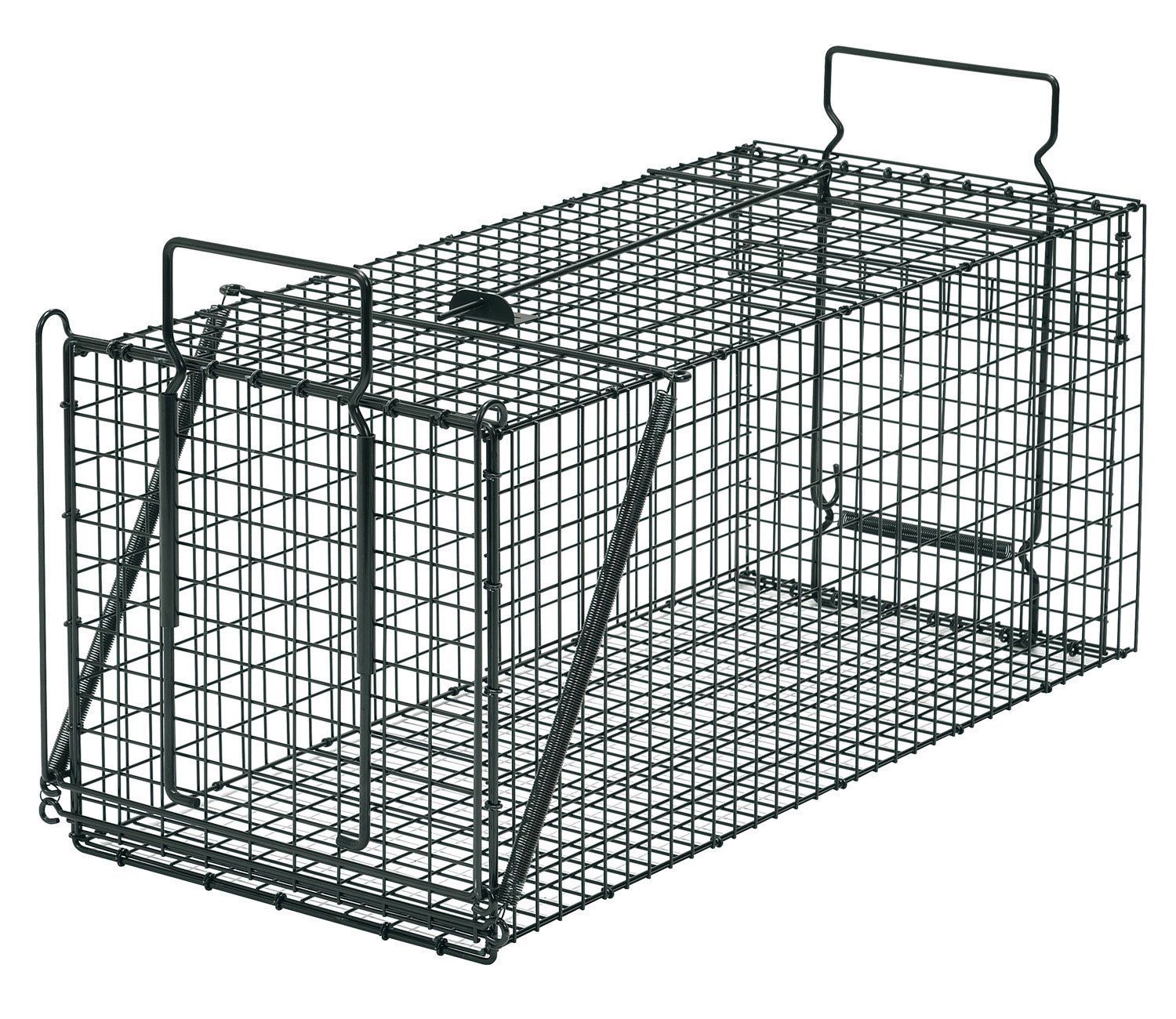 数量 ブラック TN-3 No.303 対象動物タヌキ ヌートリア type D 捕獲器 栄ヒルズ 栄工業