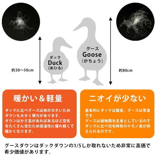 グース