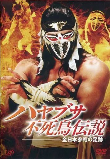 ハヤブサ不死鳥伝説~全日本参戦の足跡~ 中古DVD 中古】その他DVD ハヤブサ不死鳥伝説～全日本参戦の足跡
