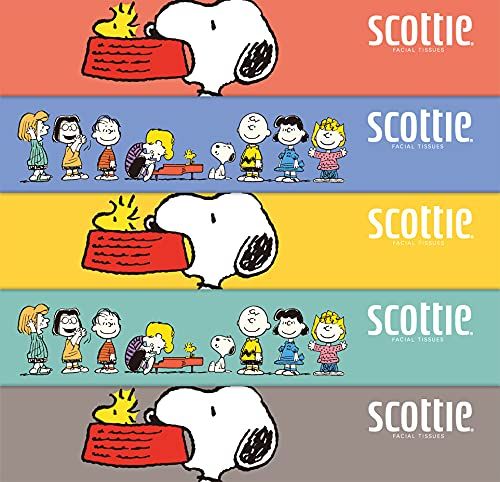 5箱パックx6個セット