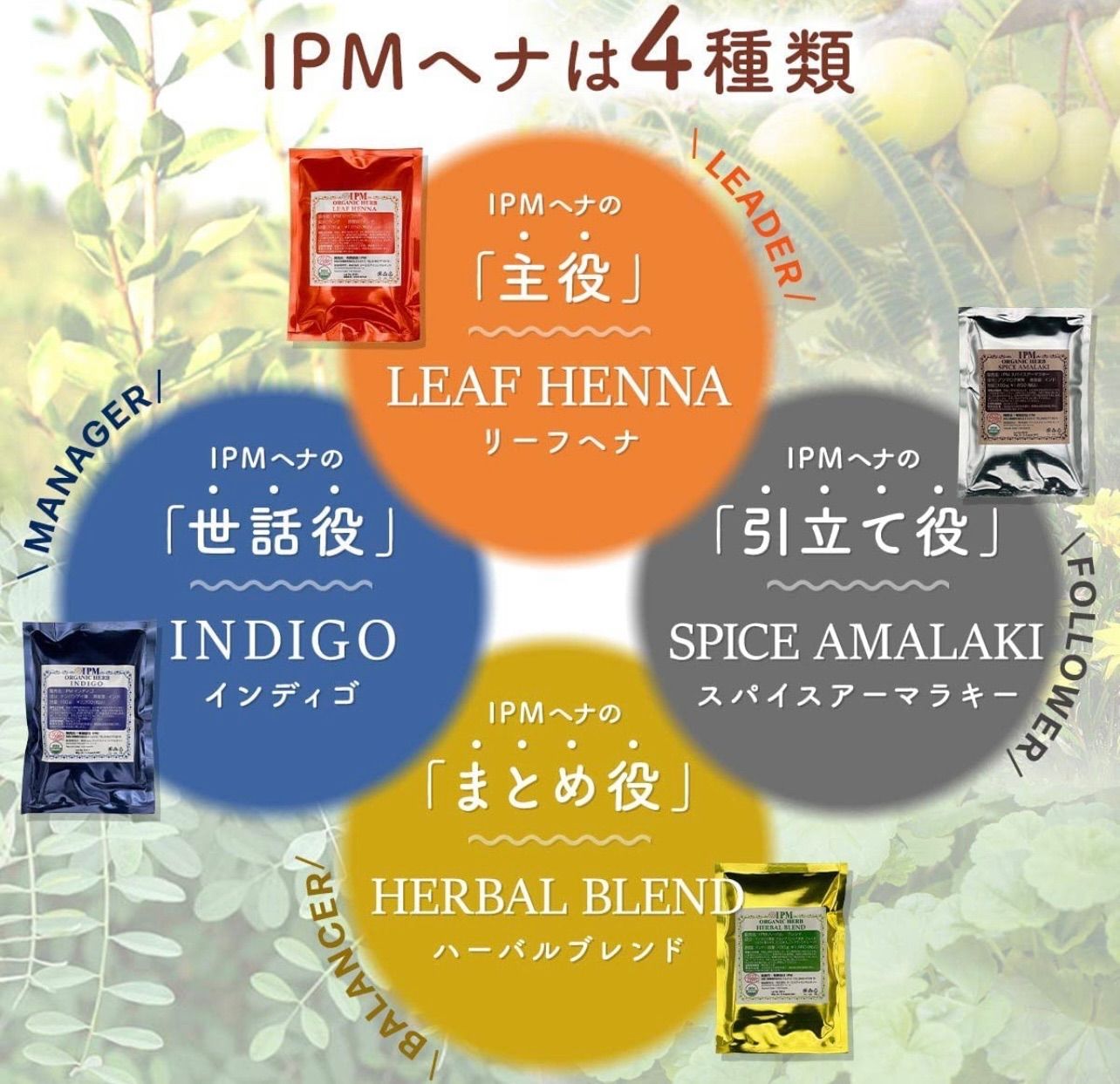 IPM リーフヘナインディゴセット - カラーリング剤