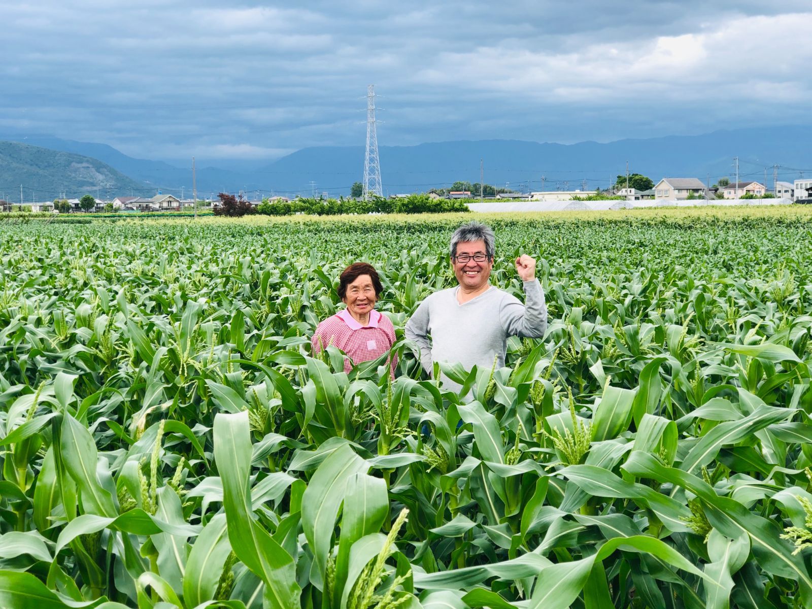 予約注文】定番品種