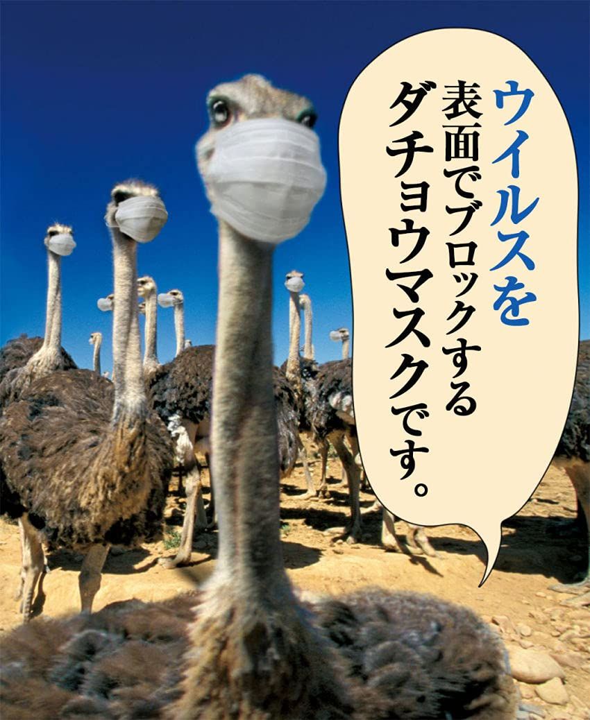 Sサイズ 女性用