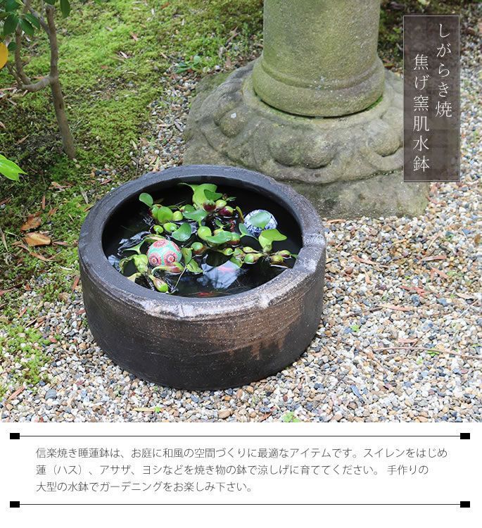 信楽焼 陶器 水鉢 メダカ鉢 金魚鉢 睡蓮鉢 焦げ窯肌切立水鉢 su-0260