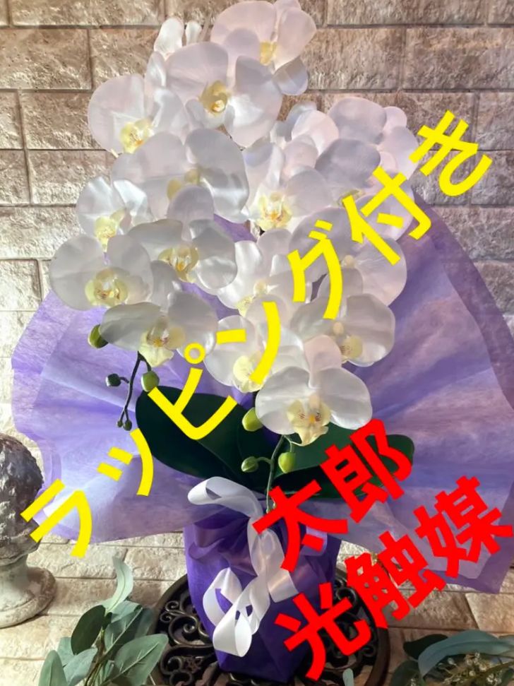 光触媒　人工観葉植物　ウォールグリーン　フェイクグリーン　リアル胡蝶蘭w' 光触媒 人工観葉植物 ウォールグリーン フェイクグリーン リアル胡蝶蘭