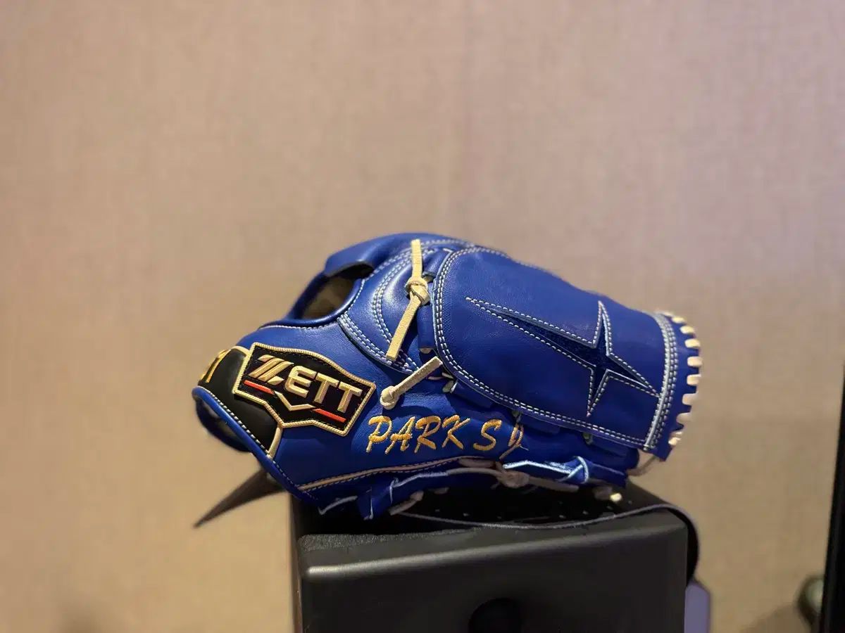 投手用グローブ 個別注文