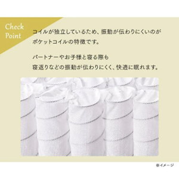 公式