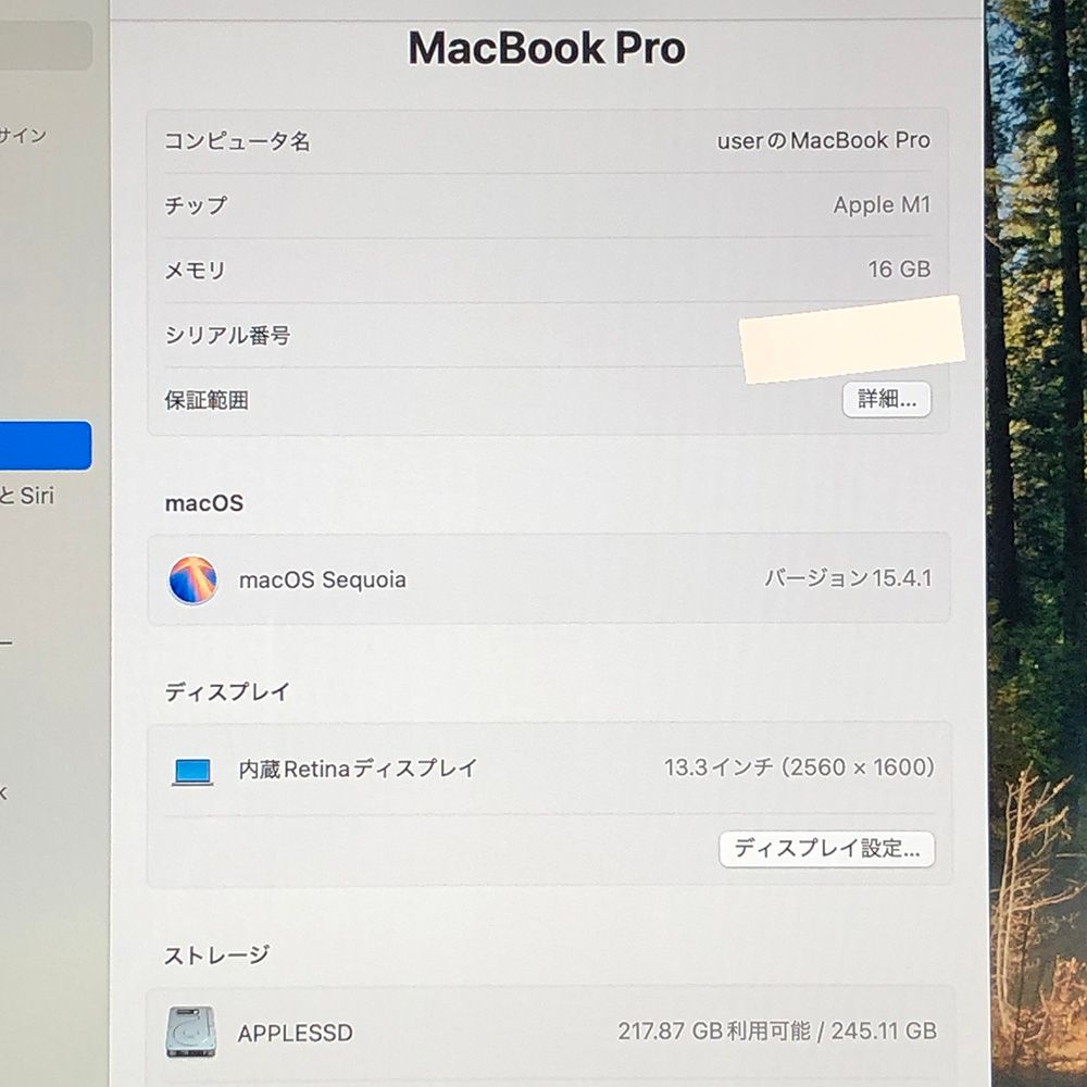 【本体のみ】Apple MacBook Pro (13インチ M1 2020)【M1チップ・メモリ16GB・SSD256GB】A2338 EMC3578/LT-250796（329038）
