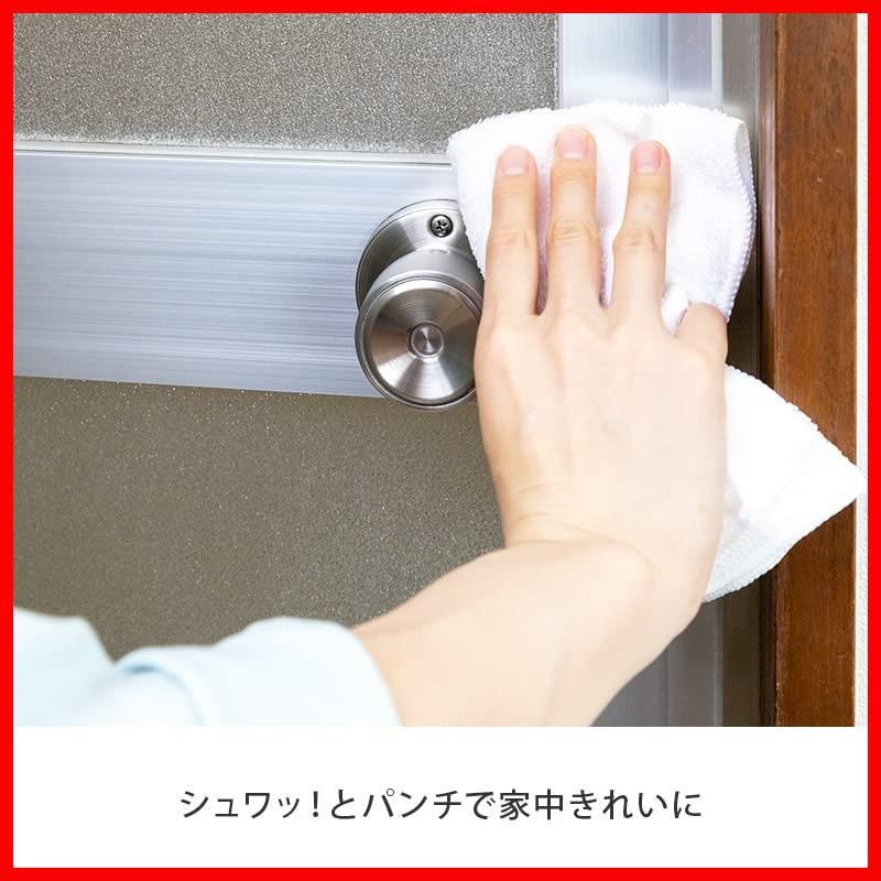 消臭 漂白剤 掃除 除菌 洗剤 洗浄剤 マルチクリーナー 粉末 浸け置き洗い 2パックセット 風呂掃除 シュワッ とパンチ 洗濯